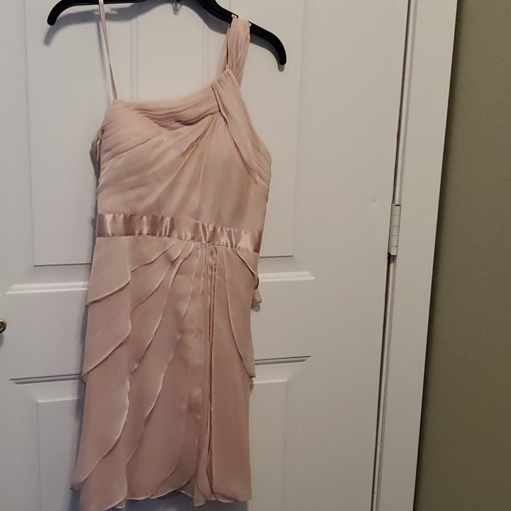 Adrianna Papell Blush Dress